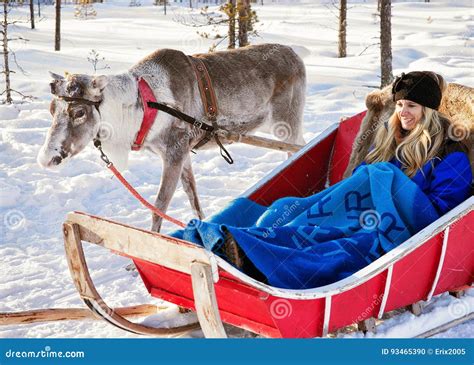 Vrouw Bij De Caravan Van De Rendierslee In Bos Fins Lapland