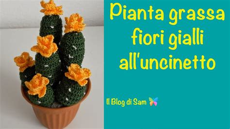 Se ben curata, in inverno produce grappoli abbondanti di fiori rosso/violetti, di lunga durata. Spiegazione della pianta grassa all'uncinetto con i fiori gialli - YouTube