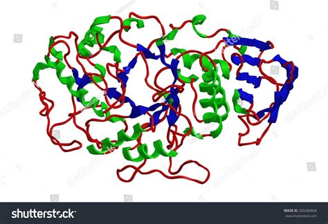 「molecular Structure Alpha Amylase Protein Enzyme」のイラスト素材 330286868