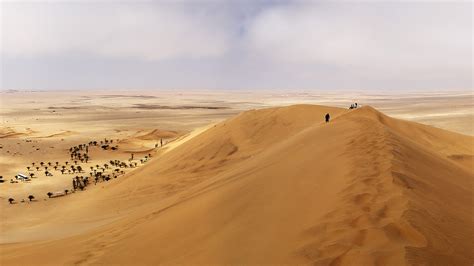 Select from premium namibian desert of the highest quality. Namib Desert Tour - Travel Republic Africa