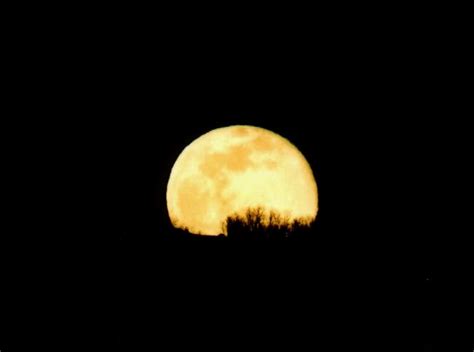 Free Download Full Moon Wallpaper Background Theme Desktop 653x486