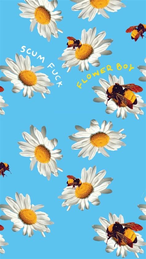 Top Flower Boy Tyler The Creator Wallpaper Iphone Positive Quotes