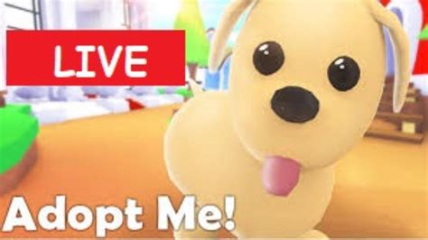 Adopt Me Live Giveaway At 50 Subs Youtube