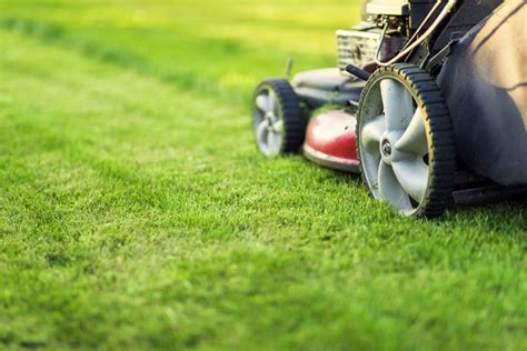 How Often Should You Mow Your Lawn Spring Summer And Fall Pro Tips