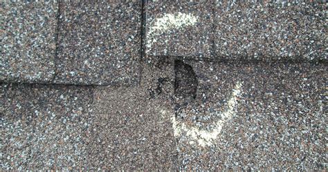 How To Spot Hail Damage To Your Roof Chattanooga Roofing Company