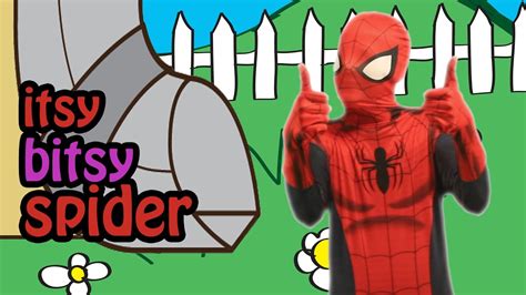 Itsy Bitsy Spiderman Nursery Rhyme Superhero Songs For Kids Babies