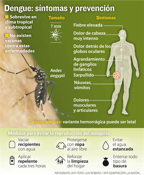 Alerta Dengue en Honduras Información Sobre Enfermedades