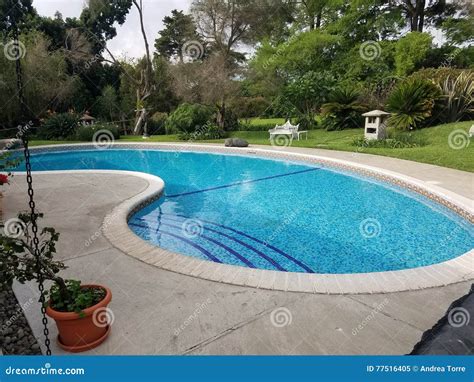 Pool Stock Image Image Of Gorgeous Pools Pool Curved 77516405