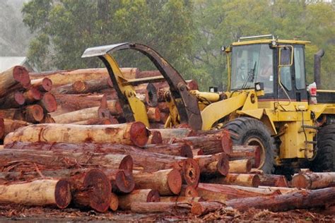 Australia's Economy Being Hit Again - China Bans Wheat, Lobster, Barley