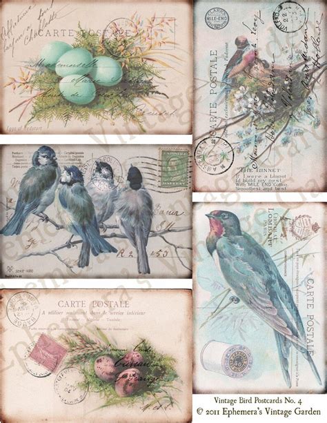 Printable Vintage Bird Postcards No 4 Digital Collage Sheet Etsy