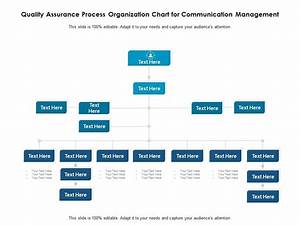 Quality Assurance Process Organization Chart For Communication