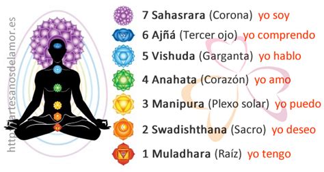 Meditación Guiada Para La Alineación De Los 7 Chakras — Alasdeorquidea