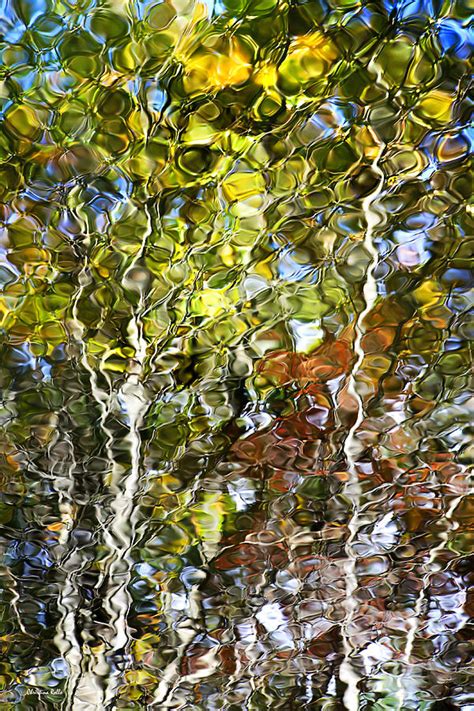 Abstract Tree Reflection Photograph By Christina Rollo