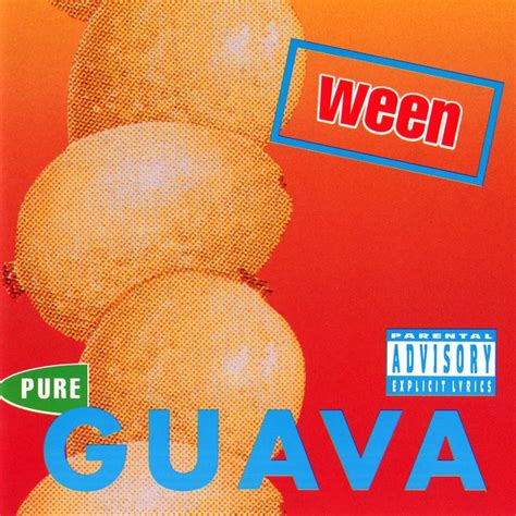 Ween Pure Guava 1992 ~ Mediasurferch