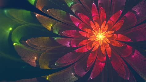 Fractal Flower 4k Hd Abstract 4k Wallpapers Images Backgrounds