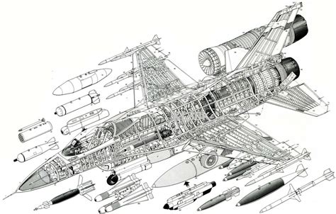 F16 Fighting Falcon 13 X 19 Matte Bandw Line Drawing Print Ebay