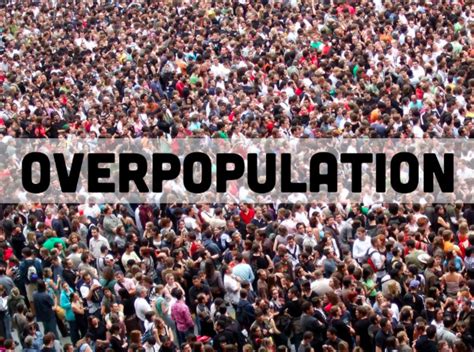 Although many environmental trends are grim, there exist clear paths forward toward a more sustainable world: What About The Overpopulation Of Animals If We Don't Eat Them?