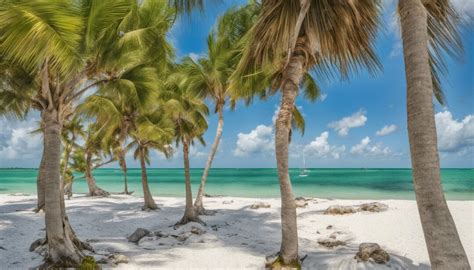 Best And Fun Things To Do Places To Visit In Tavernier Florida
