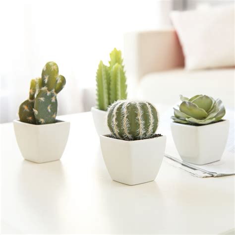 Myt Set Of 4 Artificial Mini Succulent And Cactus Plants