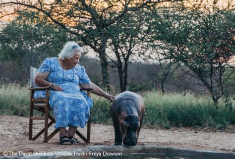A Tribute To Dame Daphne Sheldrick 1934 2018 Rhino Africa