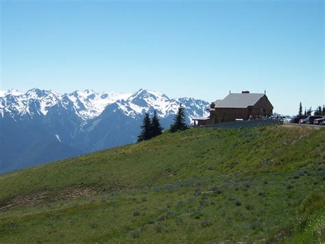 Hurricane Ridge In The Olympic National Park Going This Fall National