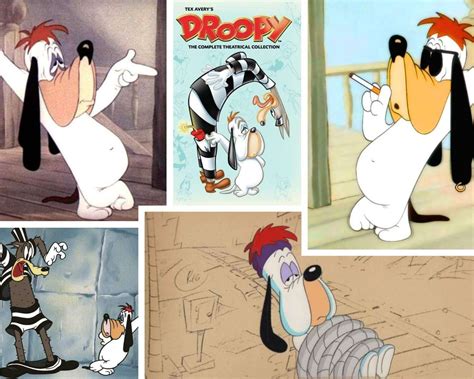 Droopy Dog The Classic Cartoon Hound
