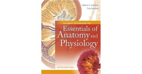 Essentials Of Anatomy And Physiology Student Workbook By Valerie C