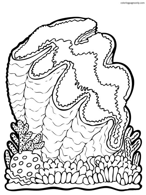 Pictures Clam Coloring Pages Free Printable Coloring Pages