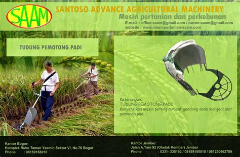 Aktiviti menebang pokok mangga di kawasan perumahan. Alat Panen Padi (mesin 4 Tak) ~ Santoso Advance ...