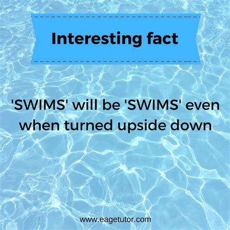 Fact Of The Day Englishfact Interestingfact Swim Life Fun Facts Swimming