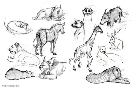 Check spelling or type a new query. 25 Beautiful Animal Drawings for your inspiration - How to Draw Animals