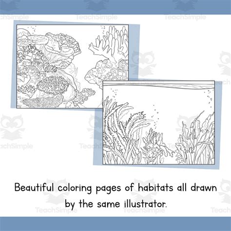 Ocean Habitat Coloring Pages Line Art Templates Biome Art Project