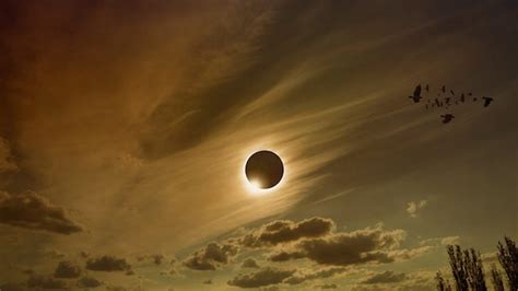 15 Photos Of The Solar Eclipse That Will Seriously Take Your Breath Away