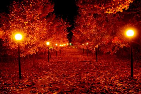 Autumn Fall Night Wallpapers Wallpaper Cave
