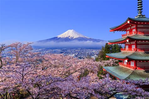 Flight Deal: U.S. to Japan for $500 (During Cherry Blossom Season