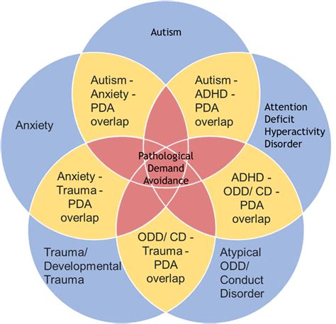Adhd Autism Venn Diagram