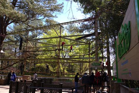 Now Open Treetop Trail Zoo Atlanta