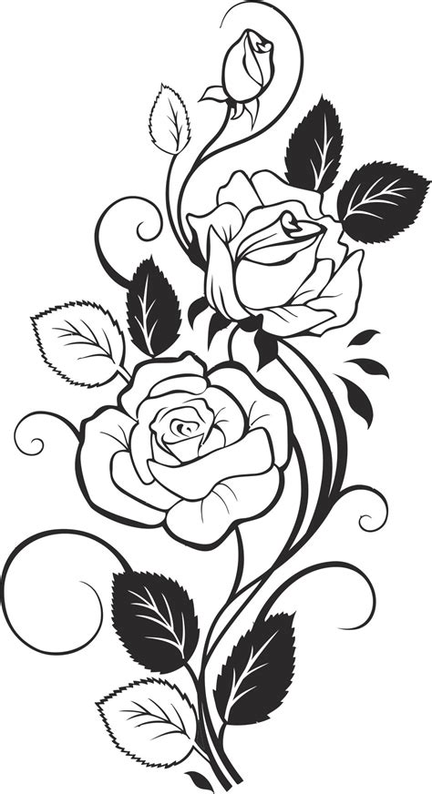 Black And White Rose Free Cdr Vectors Art For Free Download Vectors Art