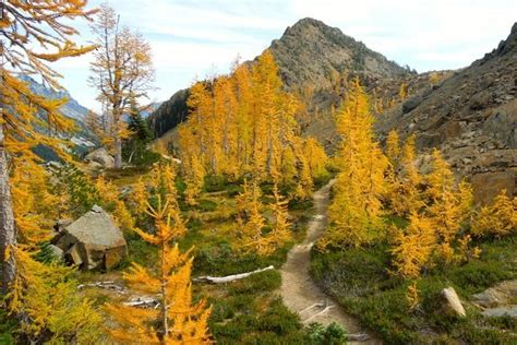 A Guide To Washingtons Hiking Jargon — Washington Trails Association