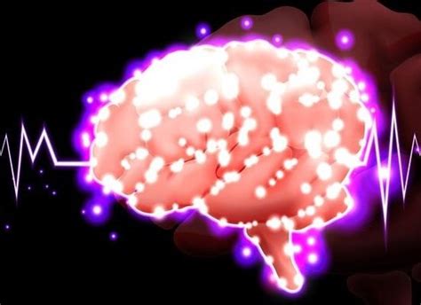 Neuroplasticitatea Modul în Care Creierul Ne Ajută Neurofeedback