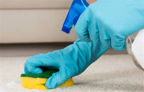 Comment nettoyer vos tapis foncés ? Comment nettoyer tapis en coton - Tout pratique