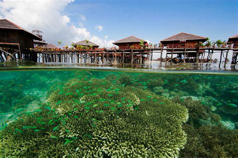 Located in the middle of the celebes sea on the southern region of semporna, it can be quite a challenge to select a route and get yourself to sipadan island. Sipadan Water Village Resort Malaysia • Scuba Diving Packages