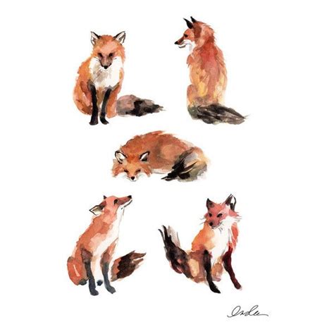 Five Foxes Animal Print Liked On Polyvore Featuring Animals