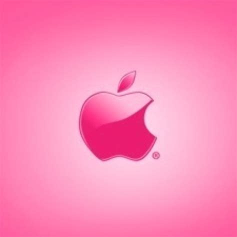 Pink Apple Wallpapers Top Free Pink Apple Backgrounds Wallpaperaccess