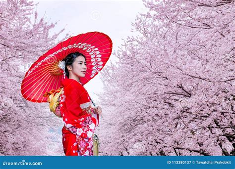 asian woman wearing japanese traditional kimono and cherry blossom in spring japan stock image