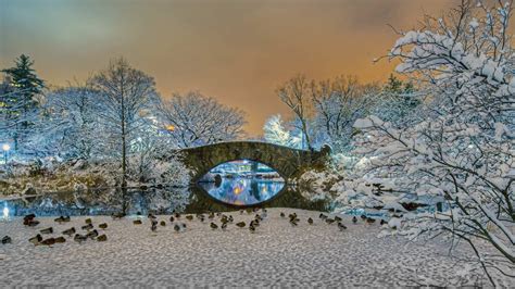 Gapstow Bridge in Central Park in Winter HD Wallpaper | Background ...