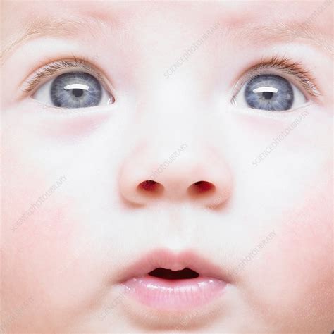 Close Up Of Baby Girl Stock Image F0037519 Science Photo Library