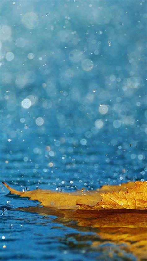 Free Download Download Rain Beautiful Wallpaper Which Is Under The