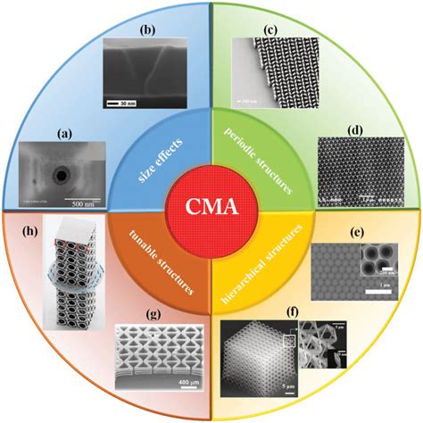 Representative Models Of Cma A The Nanotip Enables A Small Volume