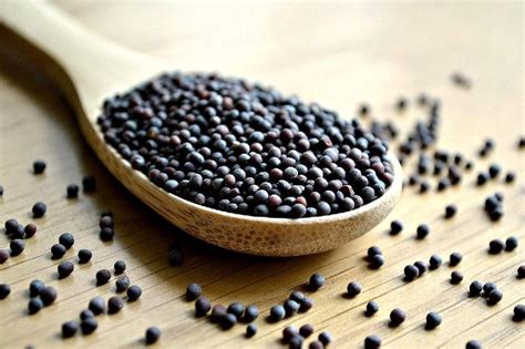 Organic Black Mustard Seeds For Food Medicine Packaging Size 200gm